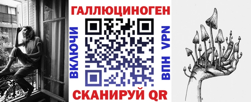 kraken ТОР  Полесск  Псилоцибиновые грибы Psilocybine cubensis 
